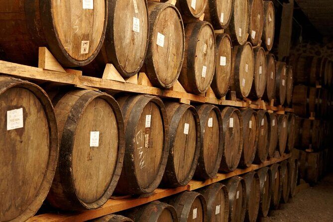 Tequila Jalisco Full Day Tour from Puerto Vallarta - Key Points