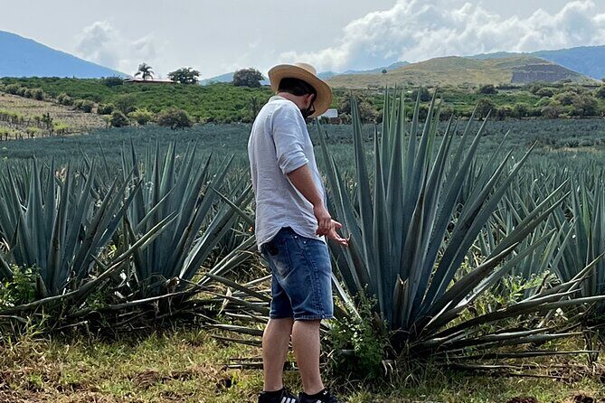 Tequila Jalisco Full Day Tour from Puerto Vallarta - Exploring the Tequila Jalisco Full Day Tour from Puerto Vallarta