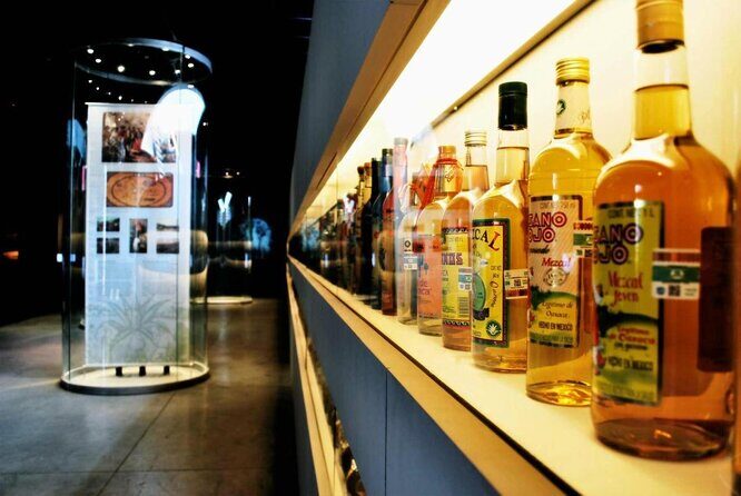 Tequila & Mezcal Exclusive Tour - A Taste of Mexico: The Tequila & Mezcal Exclusive Tour