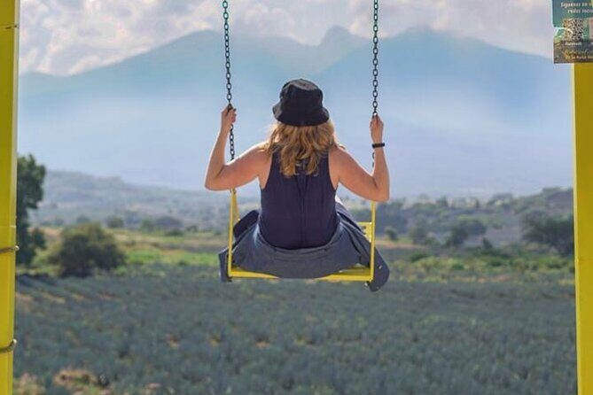 Tequila Premium Tour - The Itinerary Breakdown: What You’ll See and Do