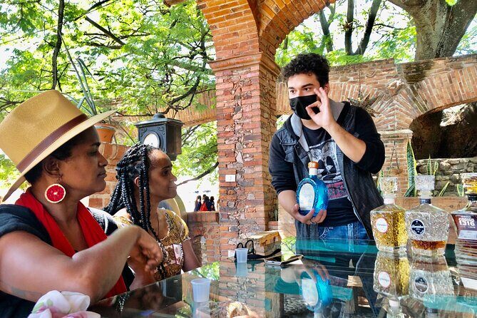 Tequila: Private Half-Day Tour - Final Thoughts: Who Will Love This Tour?