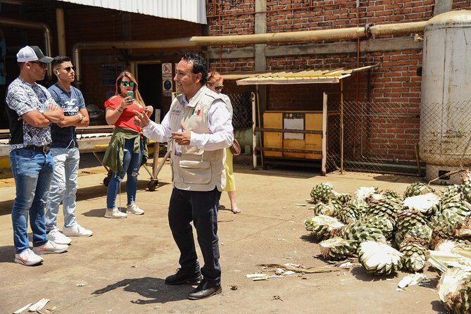 Tequila Route Experience from Guadalajara - FAQs