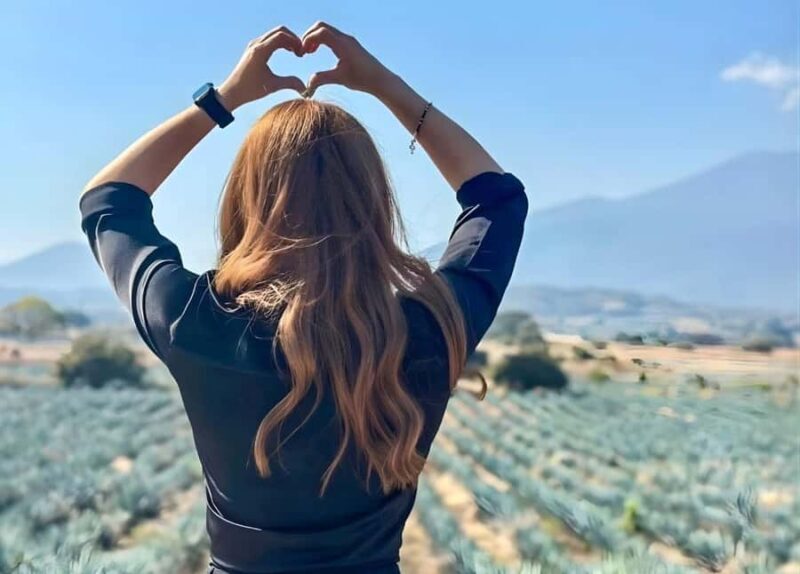 Tequila Tour & Cantaritos from Guadalajara - Exploring UNESCO-Listed Blue Agave Fields