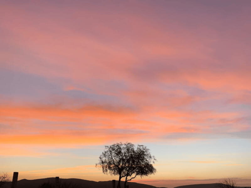 Tequisquiapan: UTV Adventure Tour with Guide - Who Should Consider This Tour?