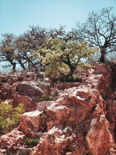 Tequisquiapan: UTV Tour to Opal Mine with Art Workshop - Starting Point and Transportation