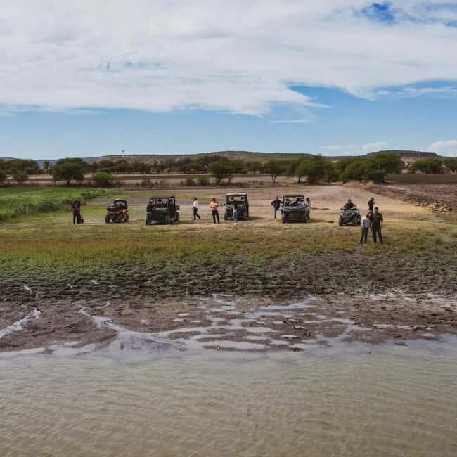 Tequisquiapan: UTV Tour with Wine Tasting and Cheese Pairing - What Reviewers Say