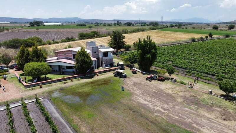 Tequisquiapan: UTV Tour with Wine Tasting and Cheese Pairing - Who Is This Tour Best For?