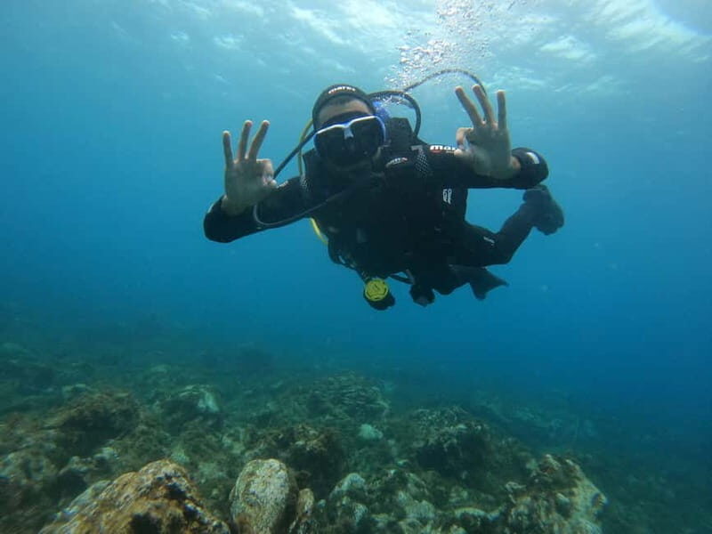 Terceira Azores: Scuba-Double dive Trip(certified Divers) - What We Loved