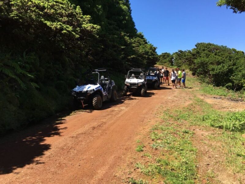 Terceira: Buggy Tour 4x4 West Side Azores Retreat - Why Choose This Experience?