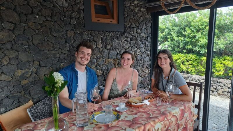 Terceira Island: 8-Hour Wine and Moonshine Tour - Who Should Consider This Tour?