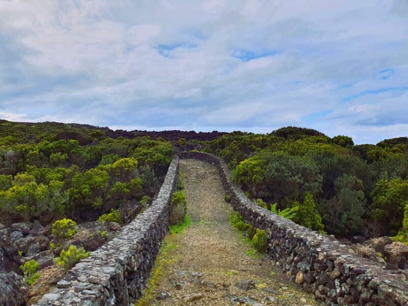 Terceira Island: Baías da Agualva Hike + Picnic + Biscoitos - Key Points