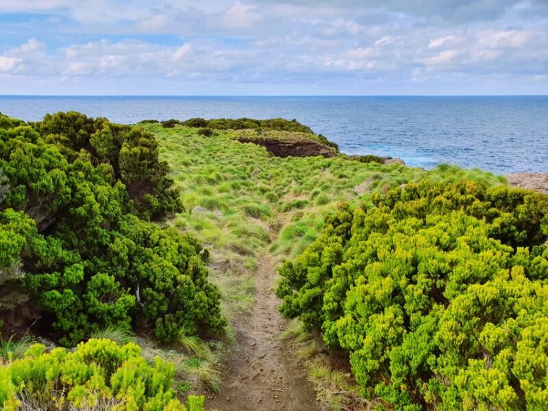 Terceira Island: Baías da Agualva Hike + Picnic + Biscoitos - FAQ