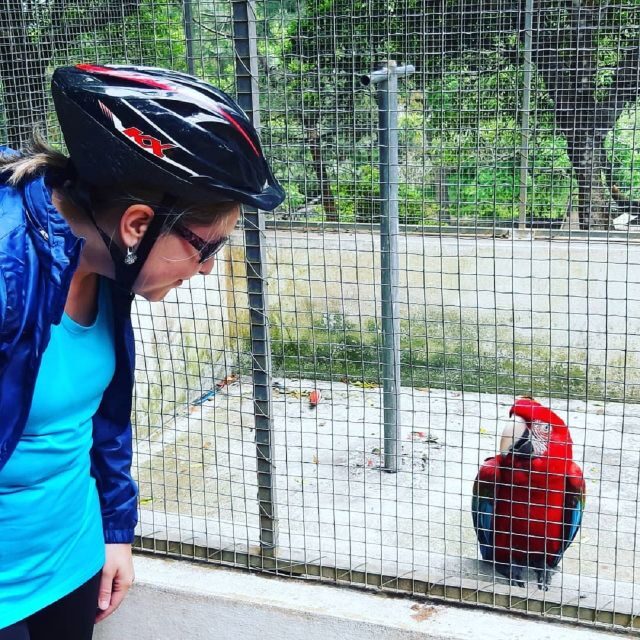 Terceira Island : Electric Bike Tour Monte Brasil - Discovering Monte Brasil on Two Wheels: A Practical Guide to the Electric Bike Tour