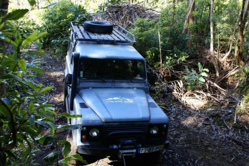Terceira Island: Full-Day Mud Adventure & Traditional Lunch - Final Thoughts: Who Should Consider This Tour?