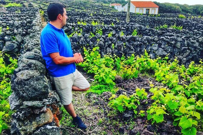 Terceira Island full day tour - Key Points