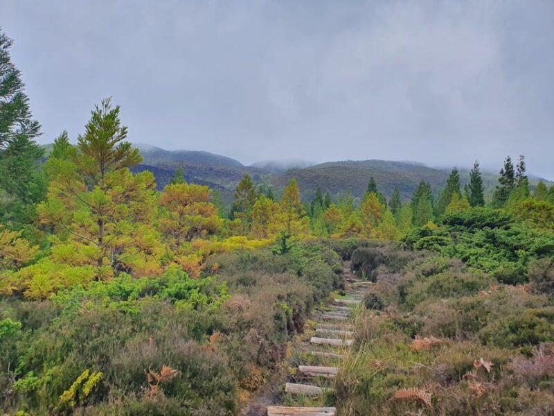Terceira Island Half Day Hiking Trail: Mistérios Negros - Exploring the Mysteries Negros Trail on Terceira Island