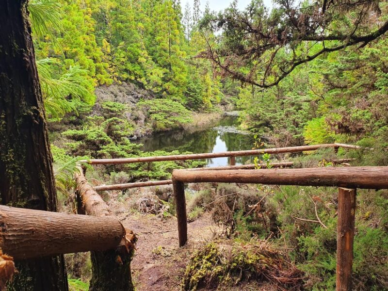 Terceira Island Half Day Hiking Trail: Mistérios Negros - Key Points