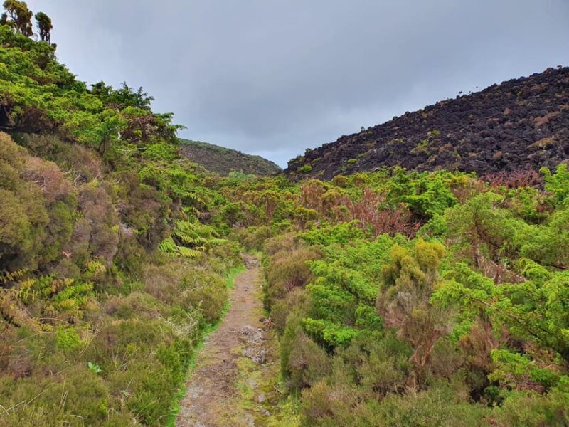 Terceira Island Half Day Hiking Trail: Mistérios Negros - Practical Details and Tips