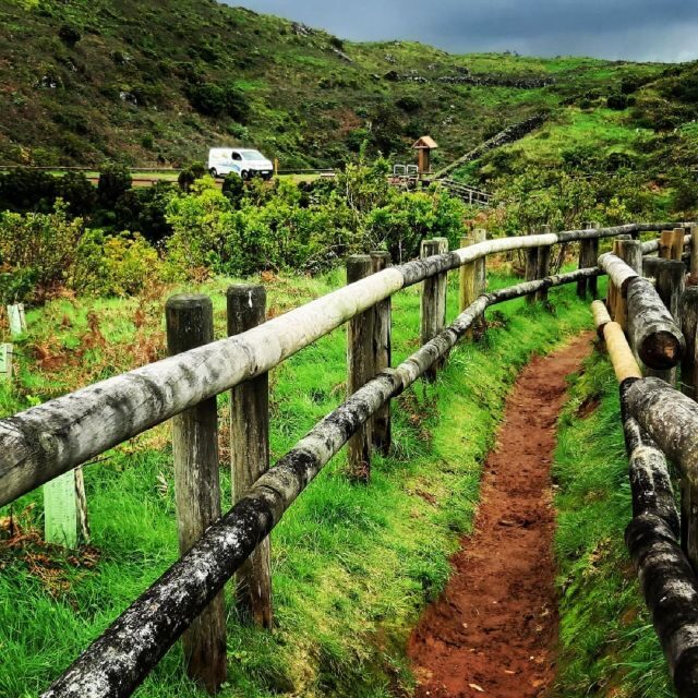 Terceira Island : Half-Day Van Tour to the Caves - Who Should Consider This Tour?