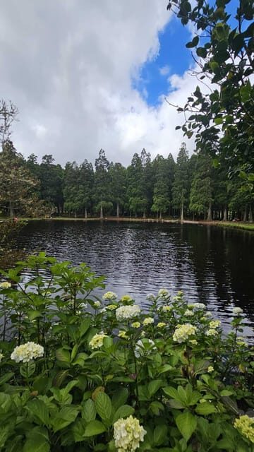 Terceira Island : Half-Day Van Tour to the Caves - FAQ