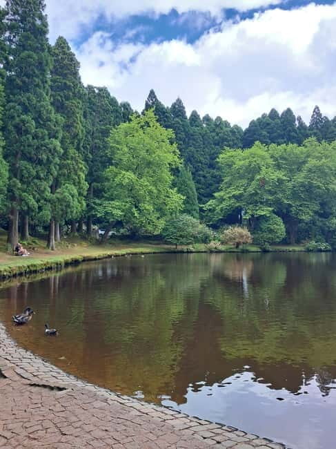 Terceira Island: Highlights Tour with Traditional Lunch - Praia da Vitória and Serra do Cume