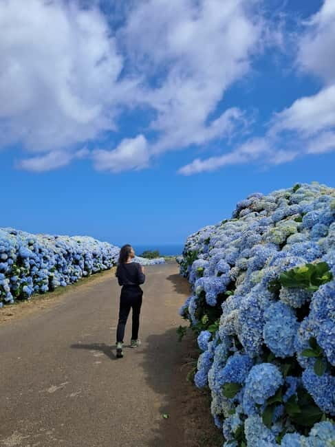 Terceira Island: Highlights Tour with Traditional Lunch - Authentic Experiences and Authenticity