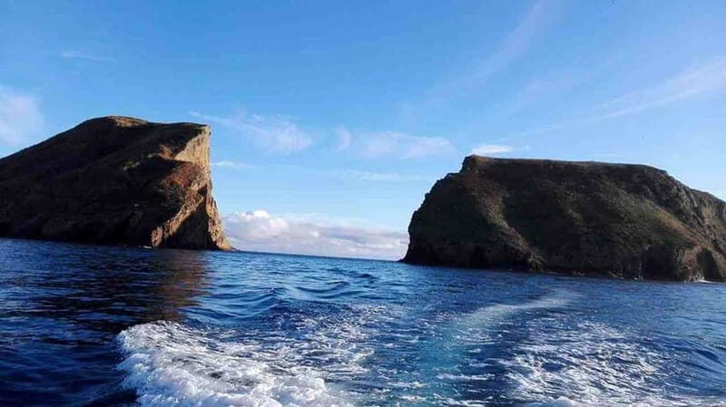 Terceira Island: Ilhéu das Cabras Boat Tour + Snorkeling - Exploring the Underwater Beauty of Terceira: Ilhéu das Cabras Boat Tour + Snorkeling