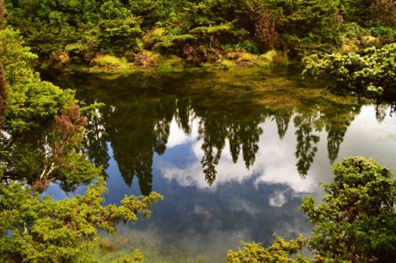 Terceira Island: Mistérios Negros Hiking - Who Would Love This Tour?