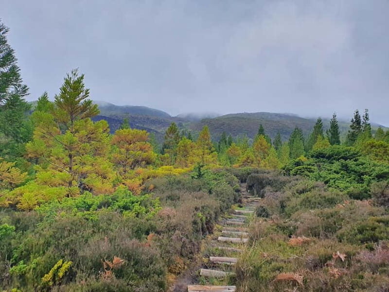 Terceira Island: Mistérios Negros & Mist. Novo Hike w/picnic - What to Expect: Practical Details