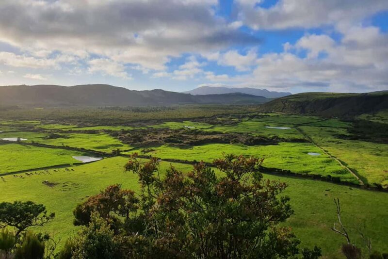 Terceira Island: Passagem das Bestas Hike w/Cheese Tasting - Exploring the Caldeira Guilherme Moniz: An Authentic Azorean Experience