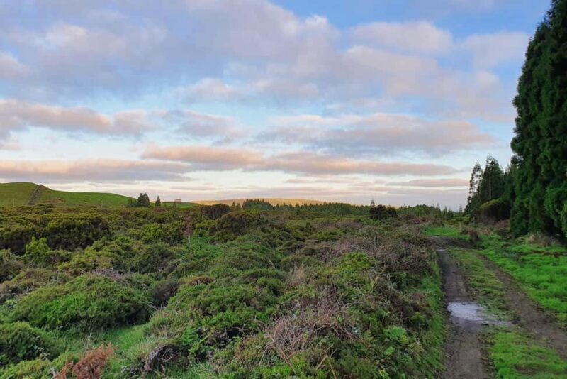 Terceira Island: Passagem das Bestas Hike w/Cheese Tasting - Authentic Flavor with the Cheese Tasting