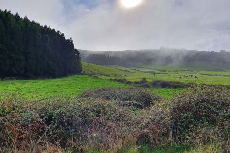 Terceira Island: Passagem das Bestas Hike w/Cheese Tasting - Frequently Asked Questions