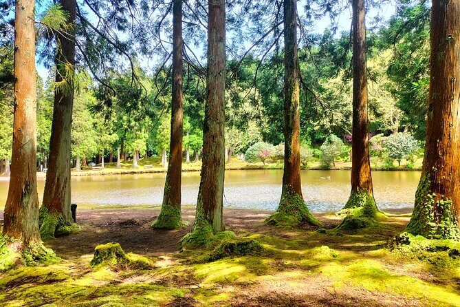 Terceira Island Private Full-Day Slow Tour with Lunch and Pickup - Exploring Terceira with a Slow, Personal Touch