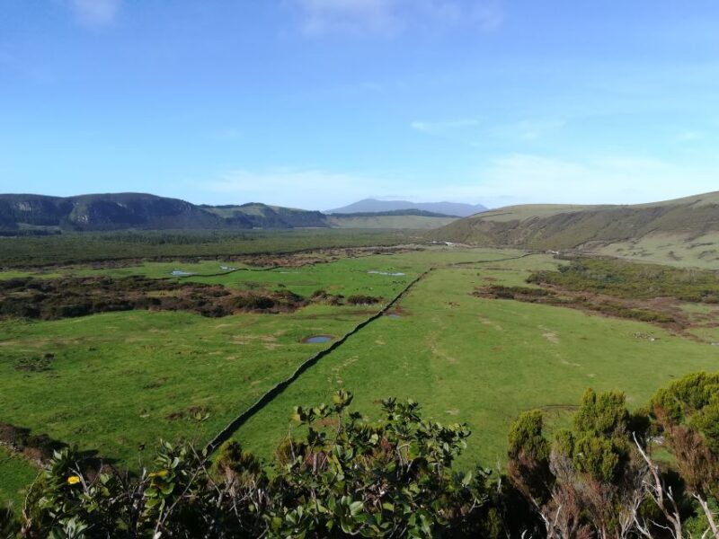 Terceira Island Scenic Hiking Trails Tour (Shared Tour) - Summing Up: Who Will Love This Tour?