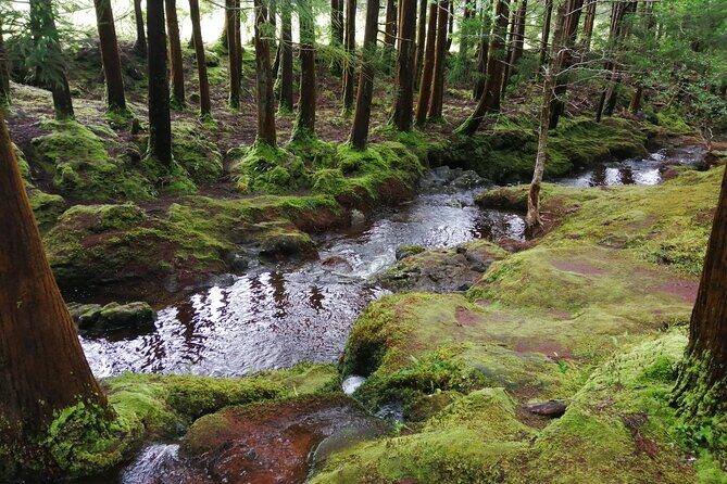 Terceira Island Transfers | Azores - Quick Overview: What You Need to Know About the Terceira Island Transfers