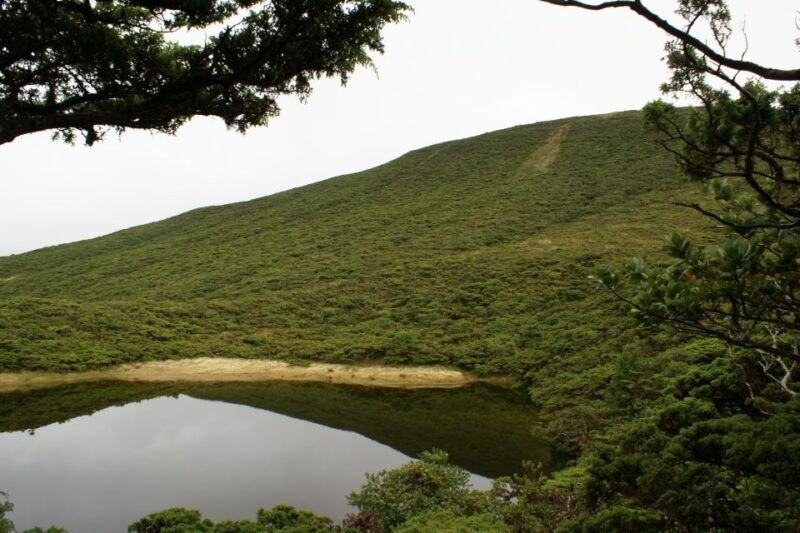 Terceira Island: Walking Trails Hiking Tour - Who Should Consider This Tour?