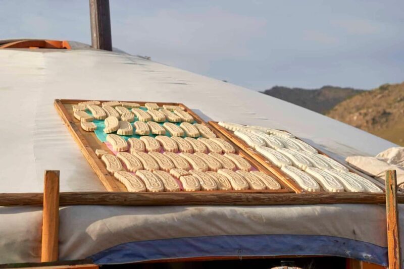 Terelj ,Khar khorum ,Horse ride , Camel ride , Monastery - Exploring Mongolia in Just Three Days: A Practical Review