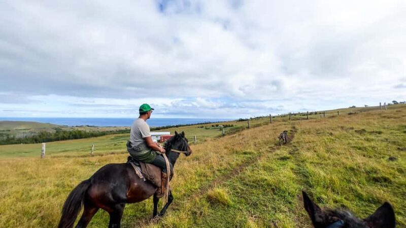 Terevaka Horse Excursion: The highest point and 360° view. - Key Points