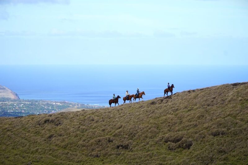 Terevaka Mount: Morning Horseback Riding & Planting Tour - Practicalities and Value