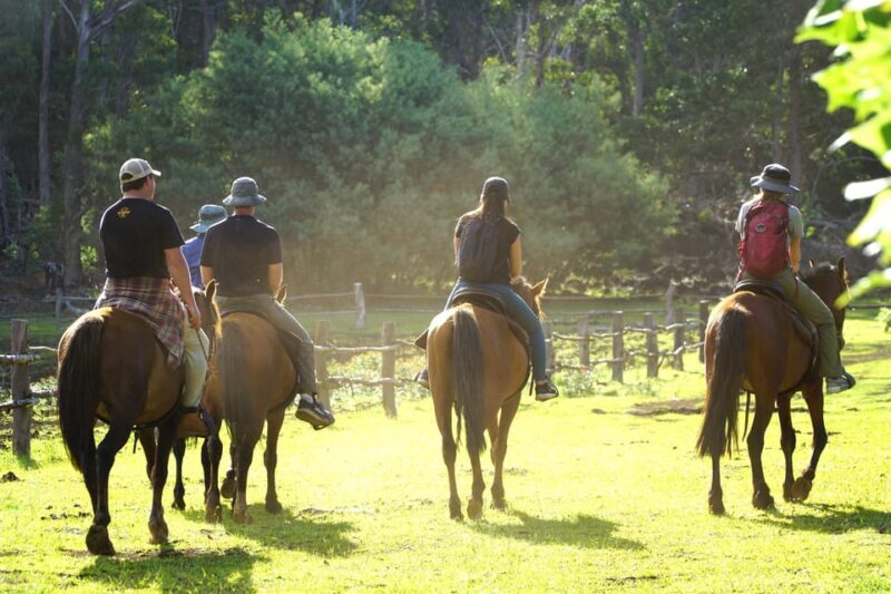 Terevaka Mount: Morning Horseback Riding & Planting Tour - Who Should Book This Tour?