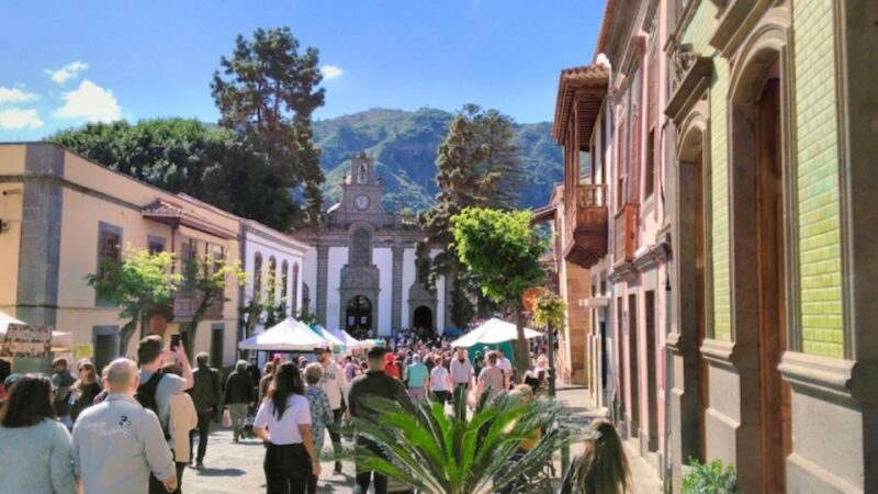 Teror and San Mateo Sunday Market - Who Is This Tour For?