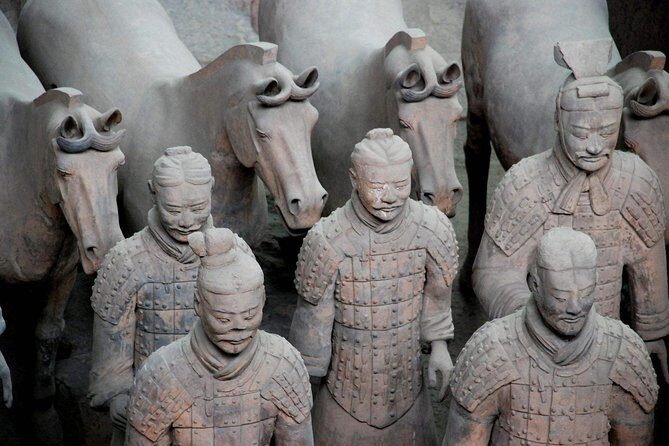 Terra-cotta Warriors, Big Wild Goose Pagoda, Ancient City Wall Private Tour - A Detailed Look at the Tour’s Highlights