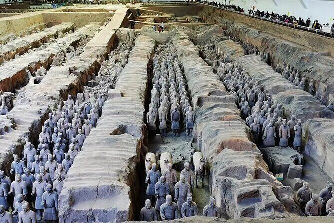 Terra-cotta Warriors Entrance Ticket with Optional Guided Service - The Sum Up