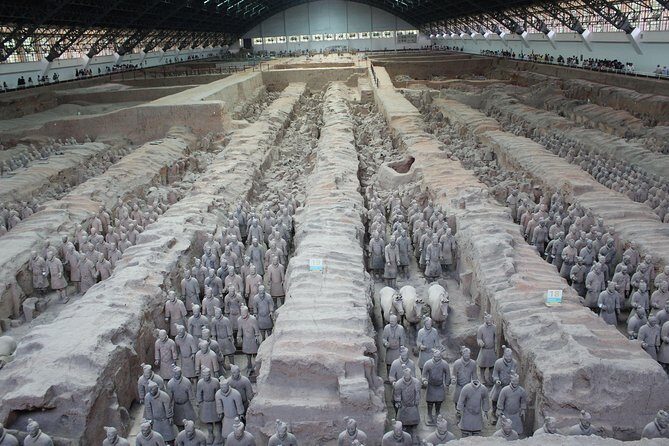 Terra-Cotta Warriors & Horses Essential Full Day Tour from Xi'an - In-Depth Review of the Tour