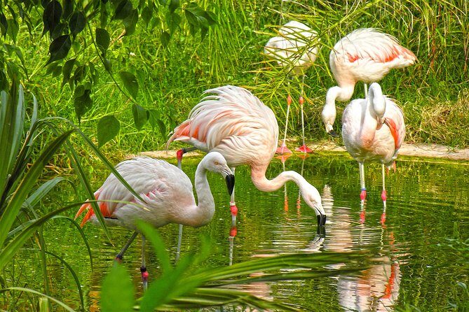 Terra Natura Benidorm Entrance Ticket - Detailed Review of Terra Natura Benidorm