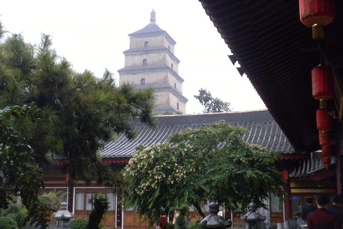 Terracotta Warriors and Xi'an City - Wrapping It Up