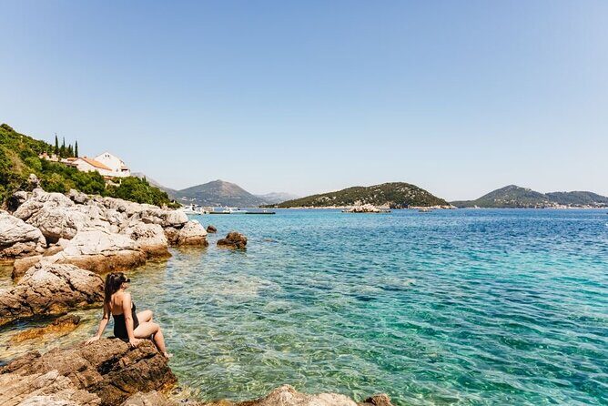 TerraJungle Terrarium Workshop in Dubrovnik - FAQ