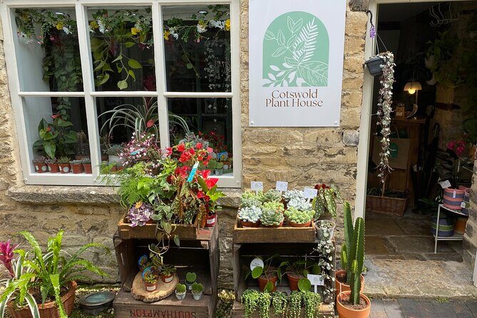 Terrarium Making Experience in Cirencester - An In-Depth Look at the Terrarium Workshop in Cirencester