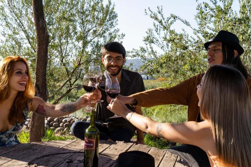 Terroir Soul: Meet the essence of Maipú Olive Oils & Wines - Key Points