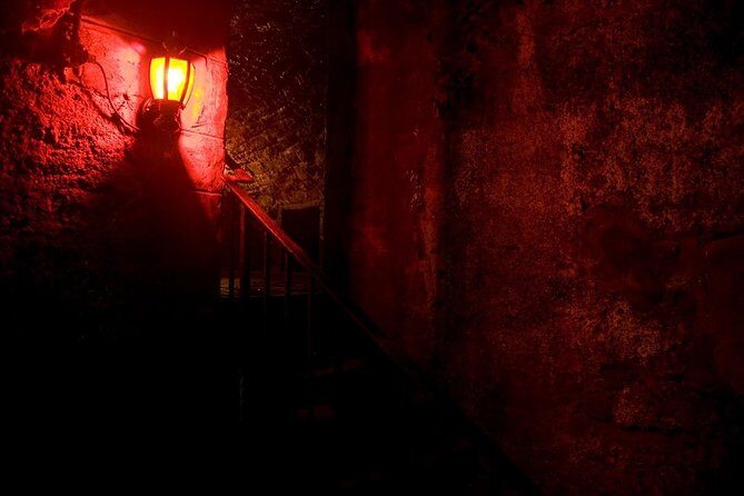 Terror Walking Tour in Edinburgh - A Deep Dive into the Edinburgh Terror Walking Tour